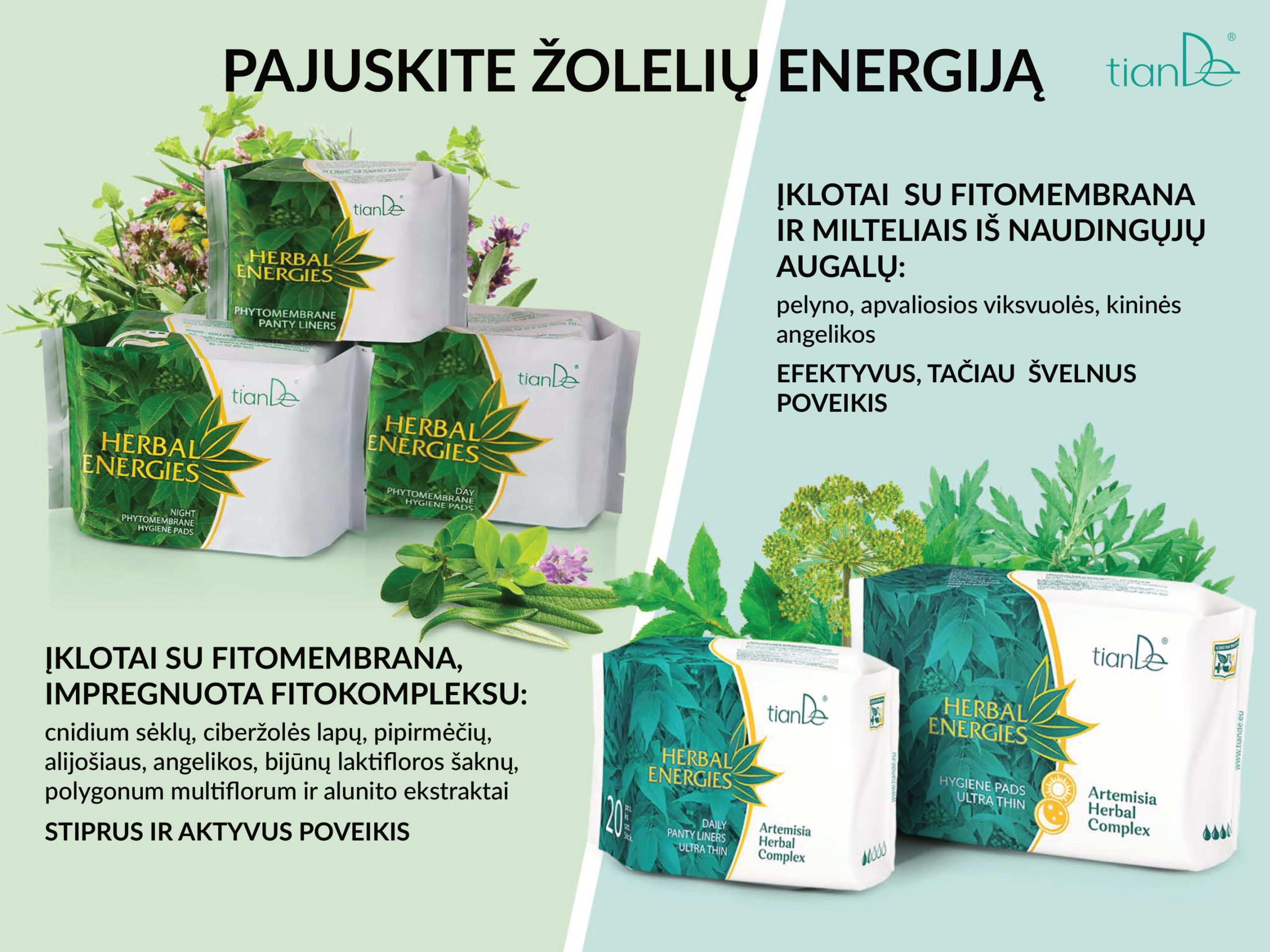 Kasdieniniai ir higieniniai įklotai su Artemisia žolelių kompleksu-02