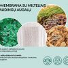Kasdieniniai ir higieniniai įklotai su Artemisia žolelių kompleksu-04