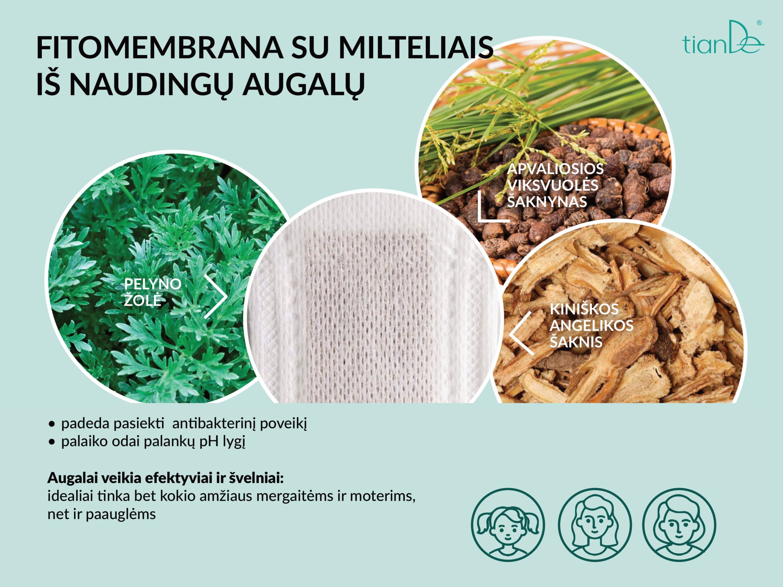Kasdieniniai ir higieniniai įklotai su Artemisia žolelių kompleksu-04